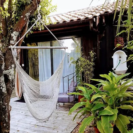 Maison De *